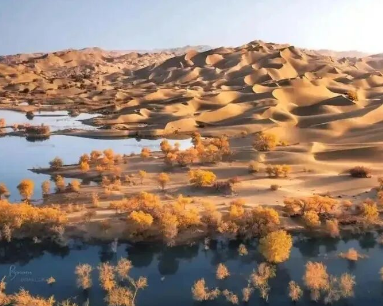 1772268493985701.png image.png